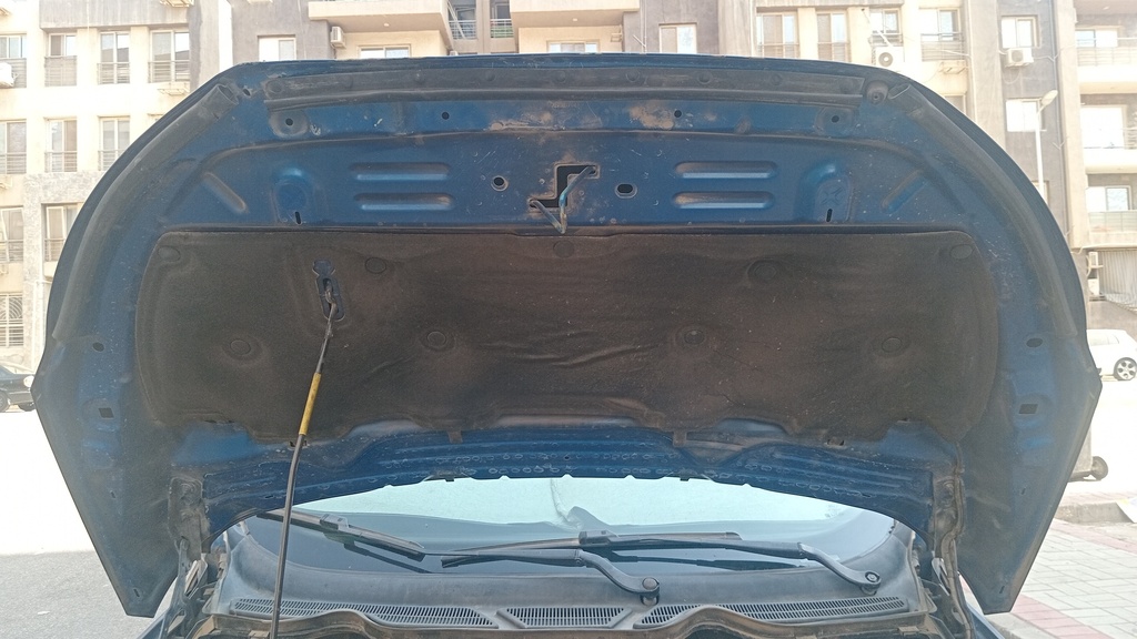 CAR HOOD