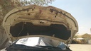 CAR HOOD