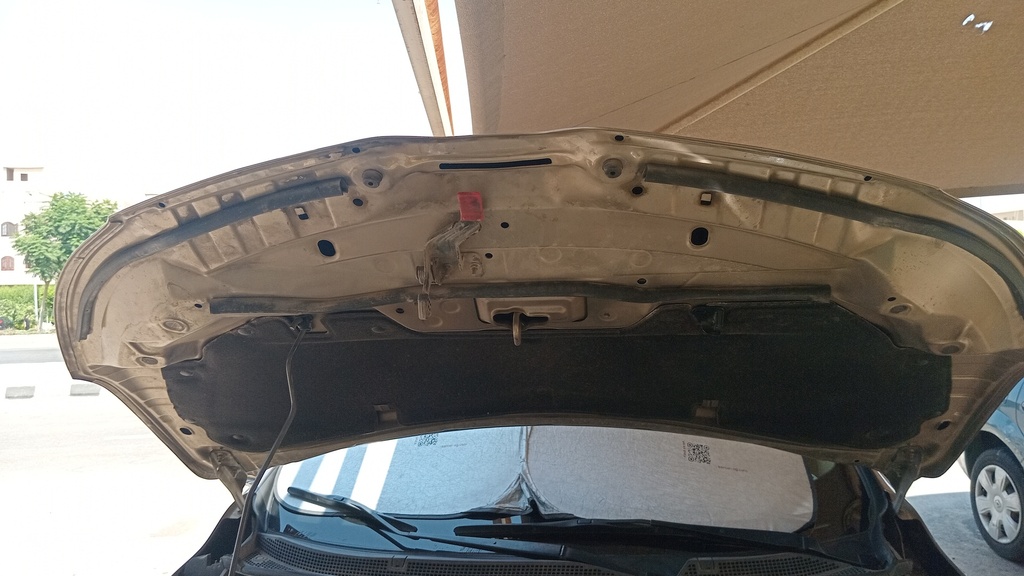 CAR HOOD