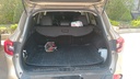 TRUNK