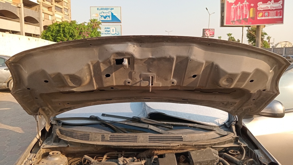 CAR HOOD