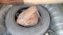 SPARE TIRE