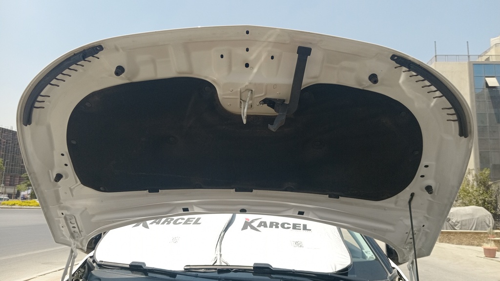 CAR HOOD