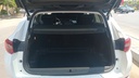TRUNK