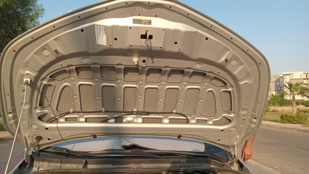 CAR HOOD