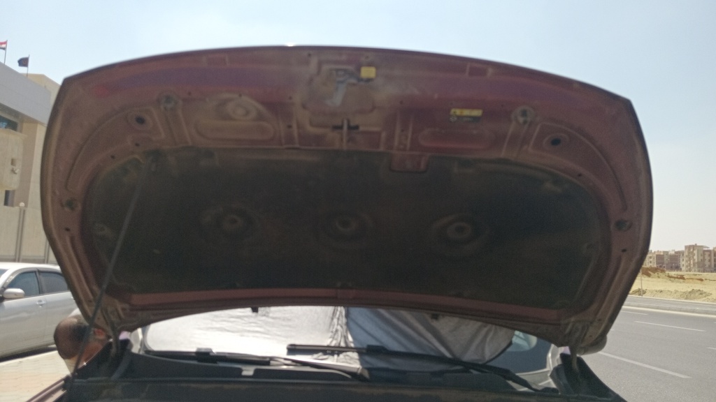 CAR HOOD