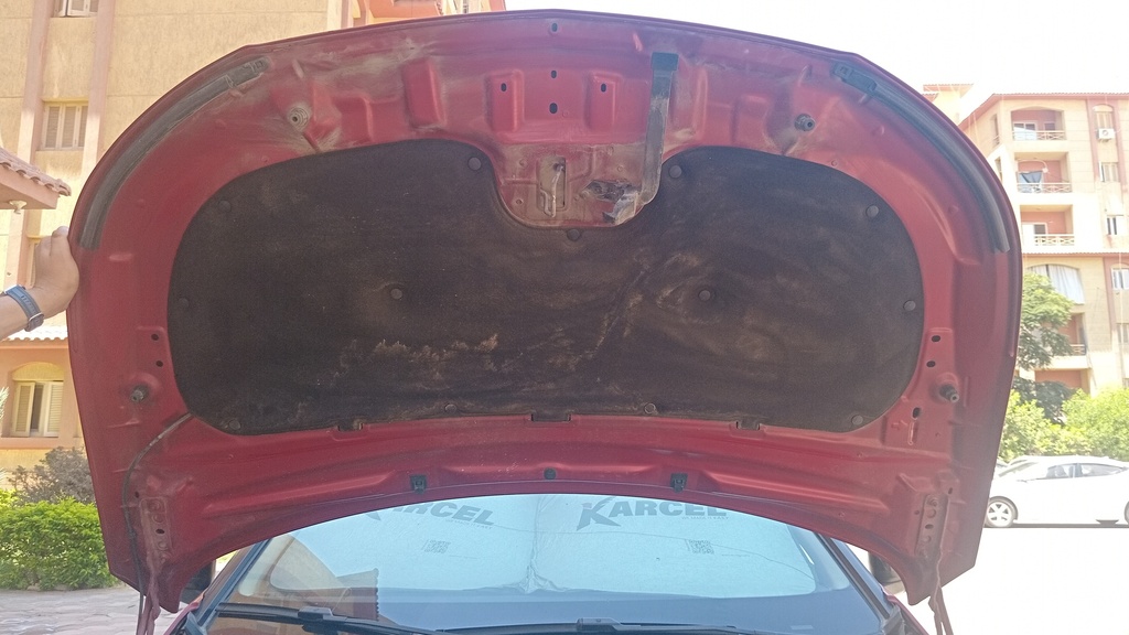 CAR HOOD