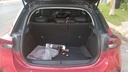 TRUNK