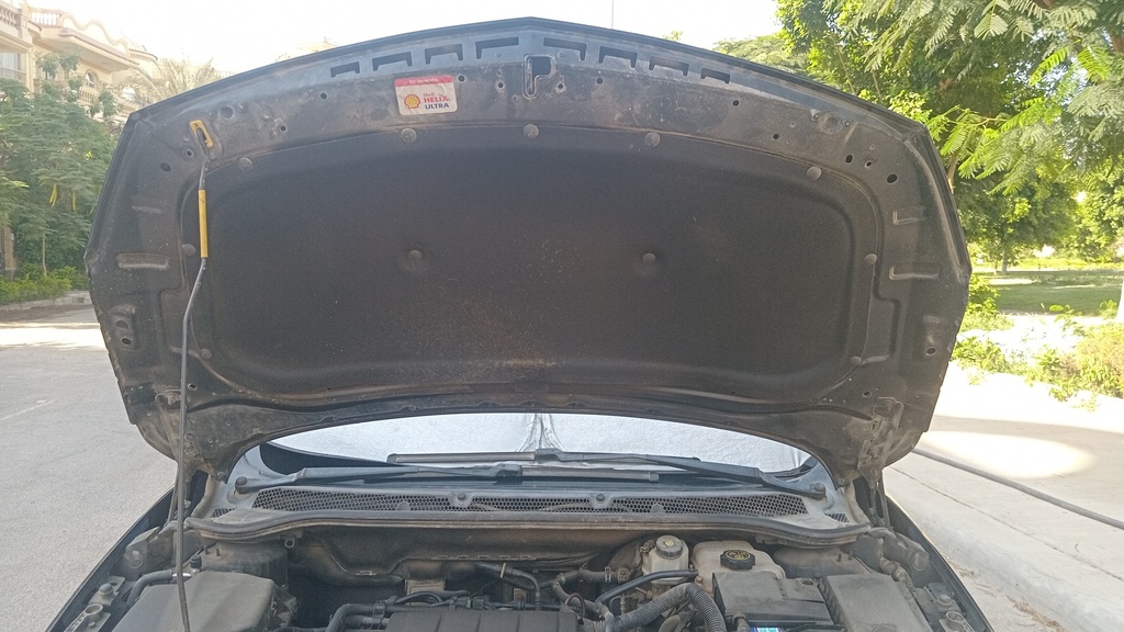 CAR HOOD