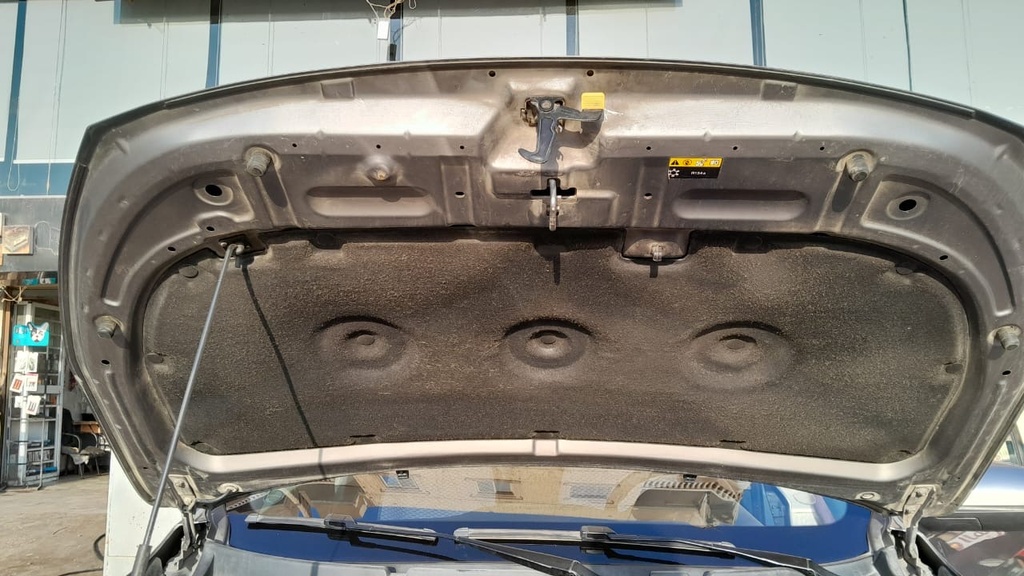 CAR HOOD