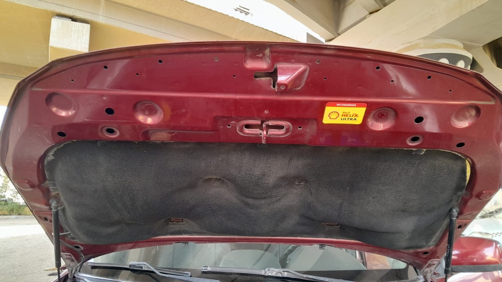 CAR HOOD