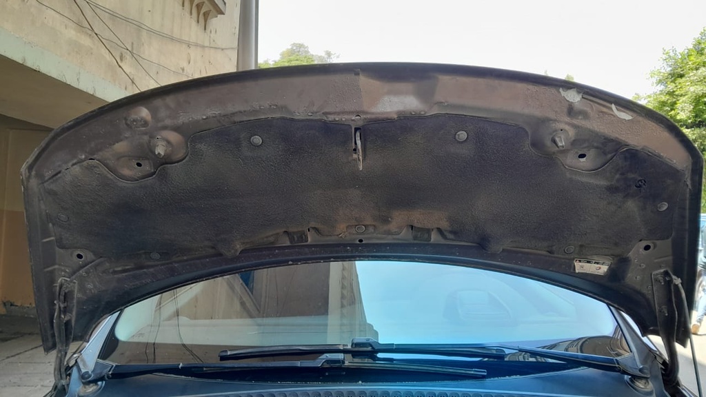 CAR HOOD