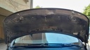 CAR HOOD