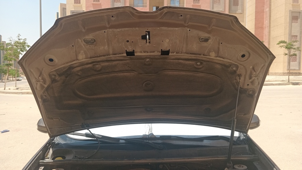 CAR HOOD
