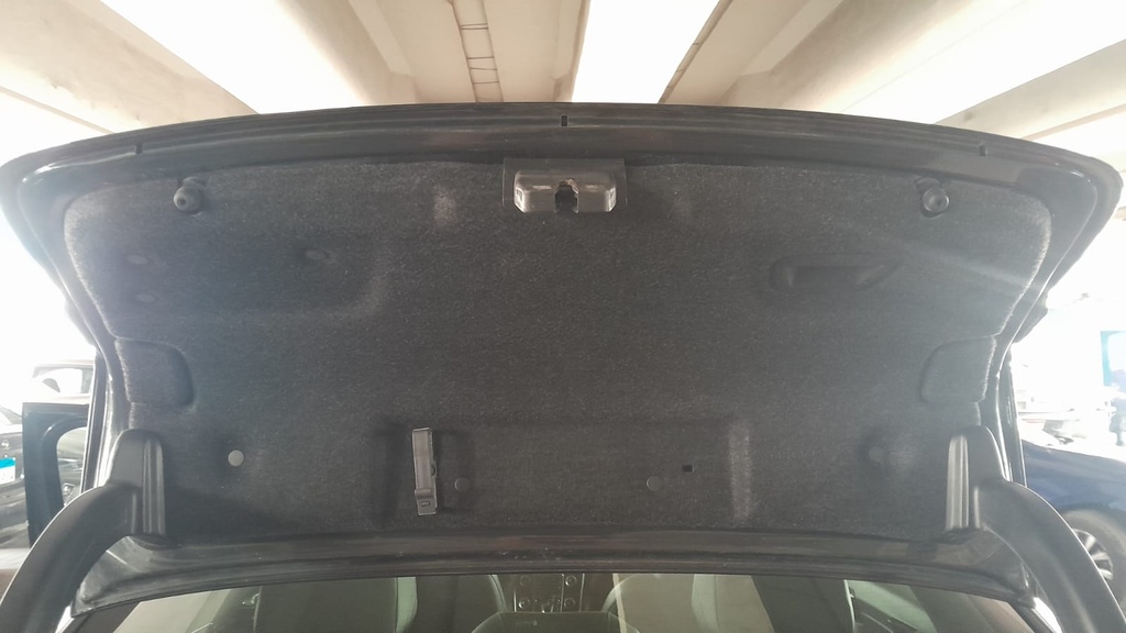 TRUNK HOOD