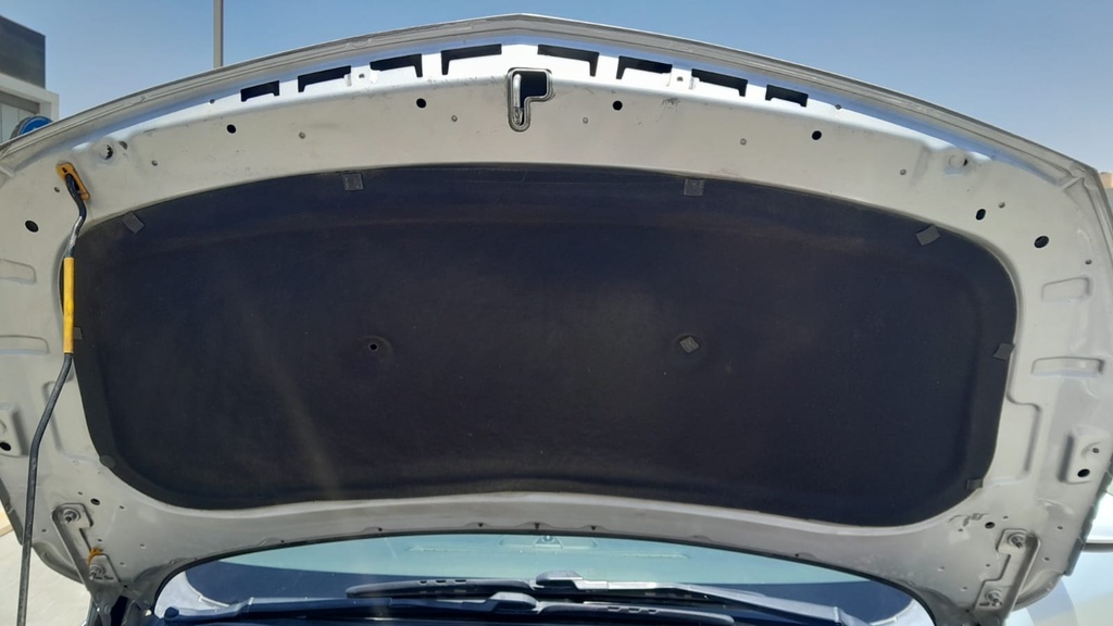 CAR HOOD
