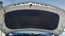 CAR HOOD