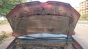CAR HOOD