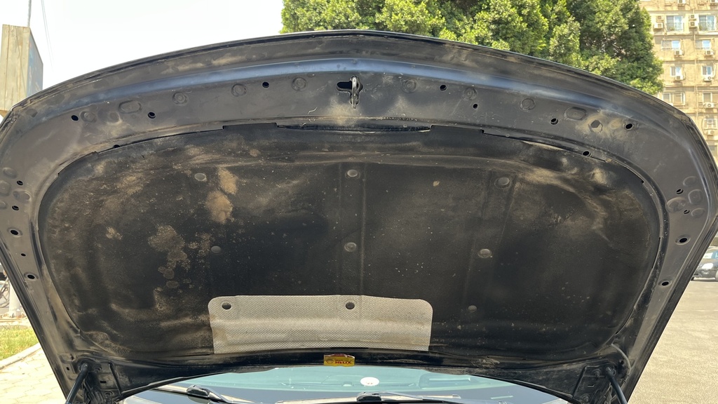 CAR HOOD
