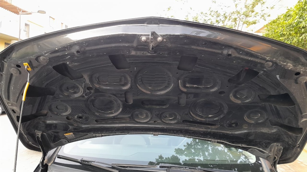 CAR HOOD