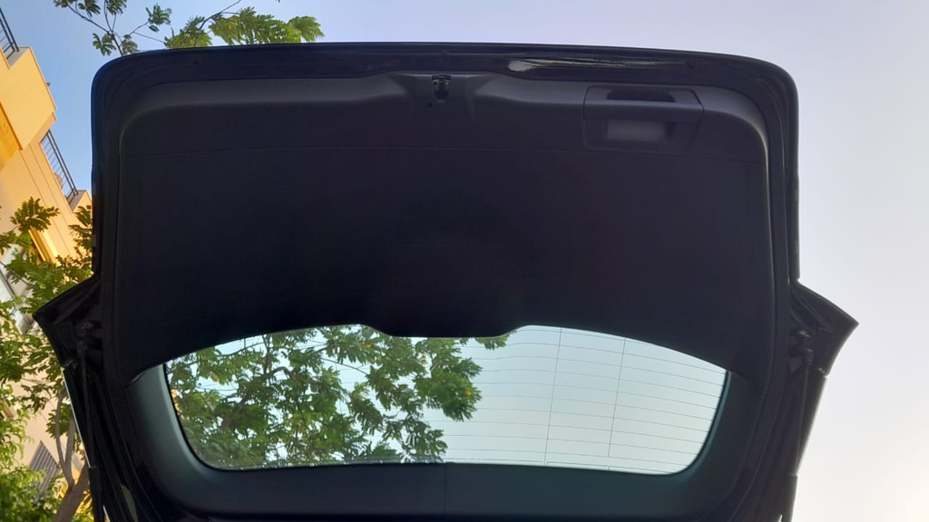 TRUNK HOOD