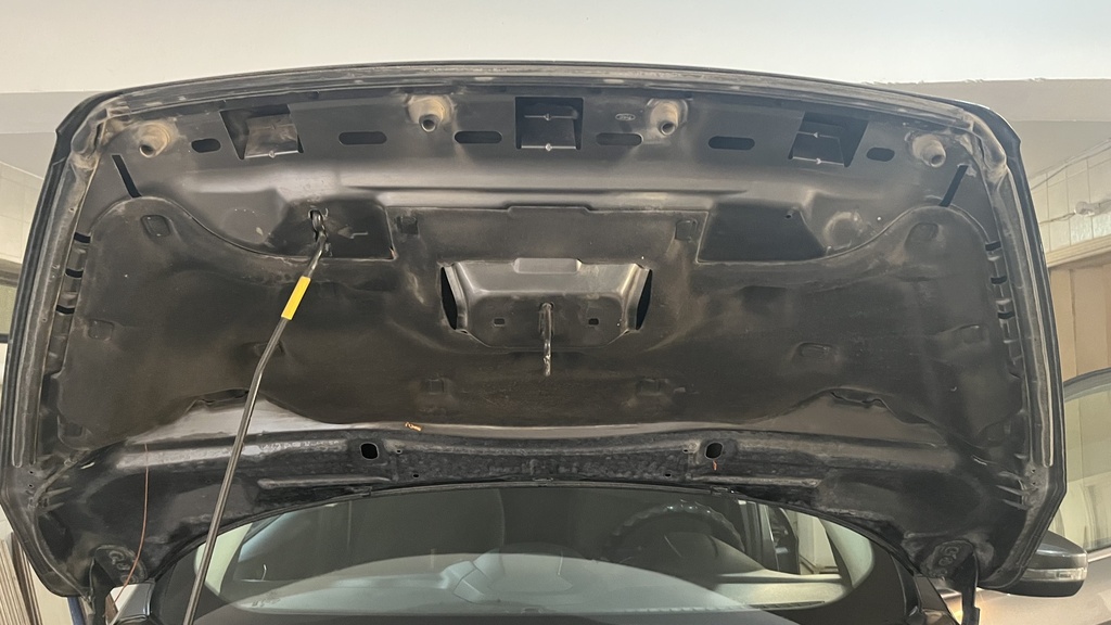 CAR HOOD