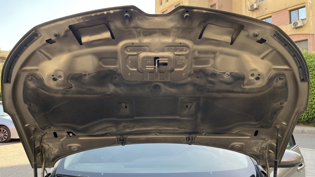 CAR HOOD