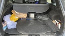 TRUNK