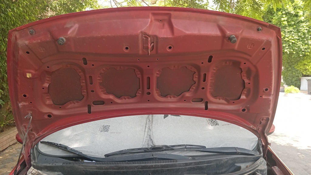 CAR HOOD