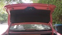 TRUNK HOOD