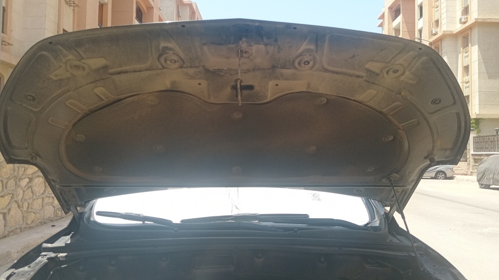 CAR HOOD