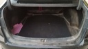 TRUNK
