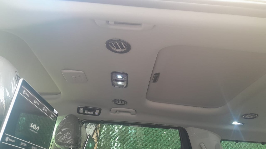 CAR ROOF MAT