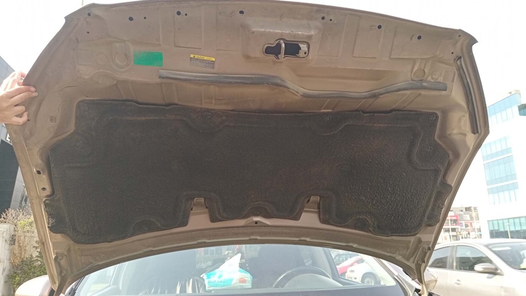 CAR HOOD