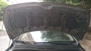 CAR HOOD
