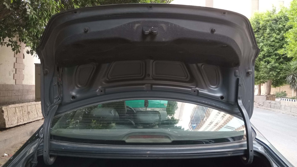 TRUNK HOOD
