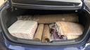 TRUNK