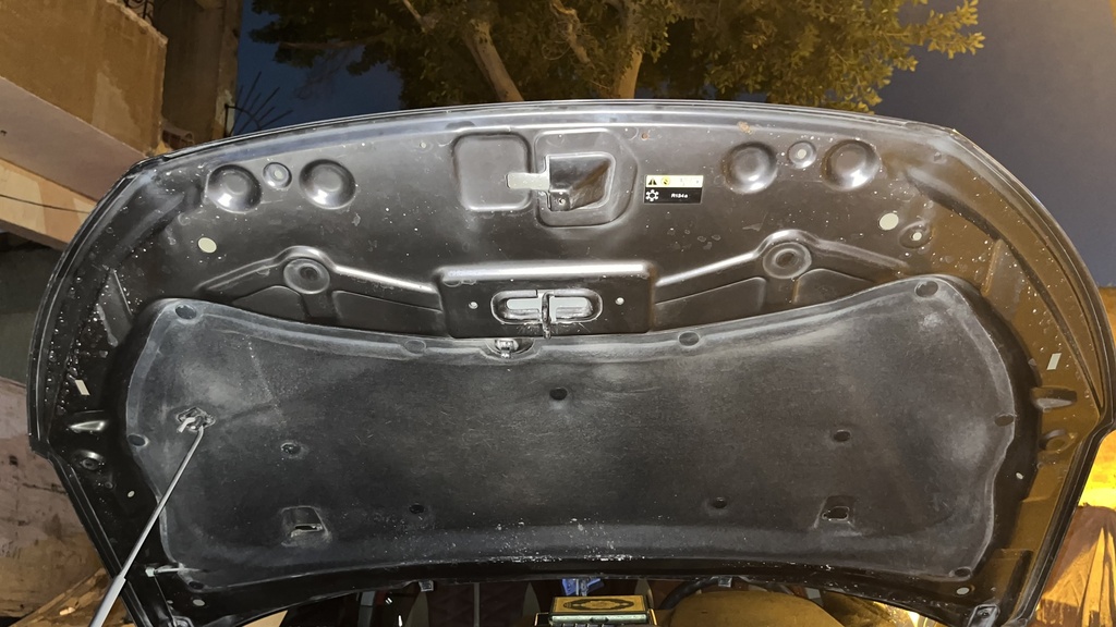 CAR HOOD