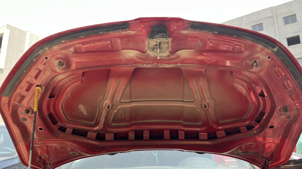 CAR HOOD