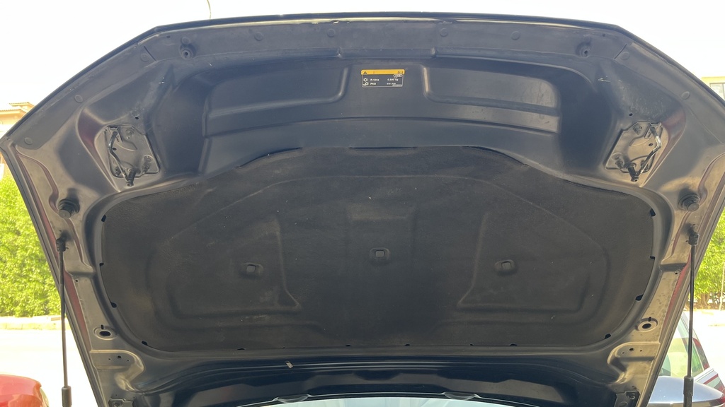 CAR HOOD