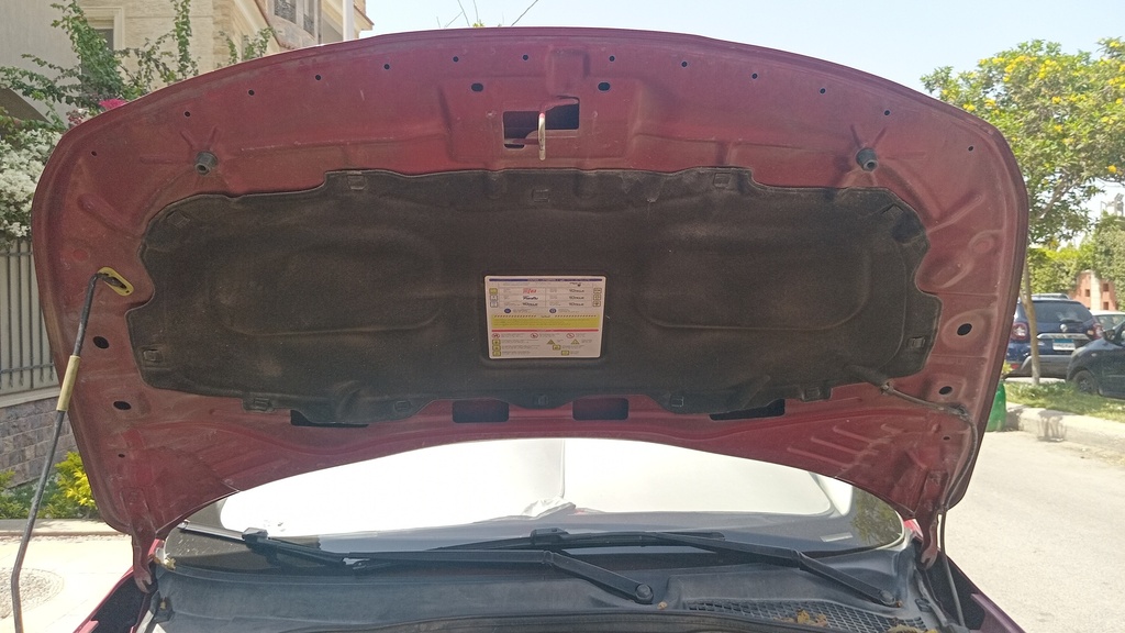 CAR HOOD