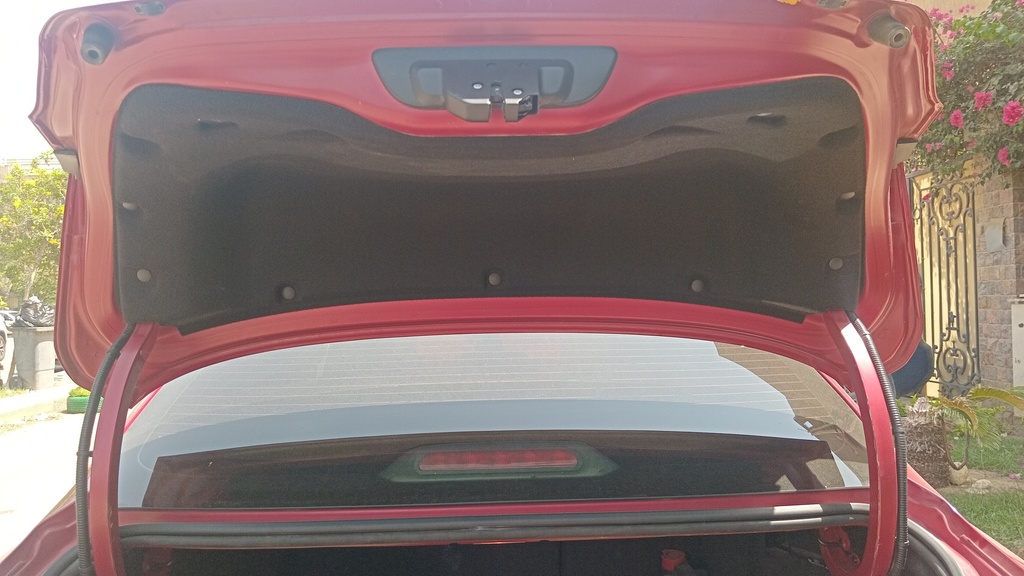 TRUNK HOOD