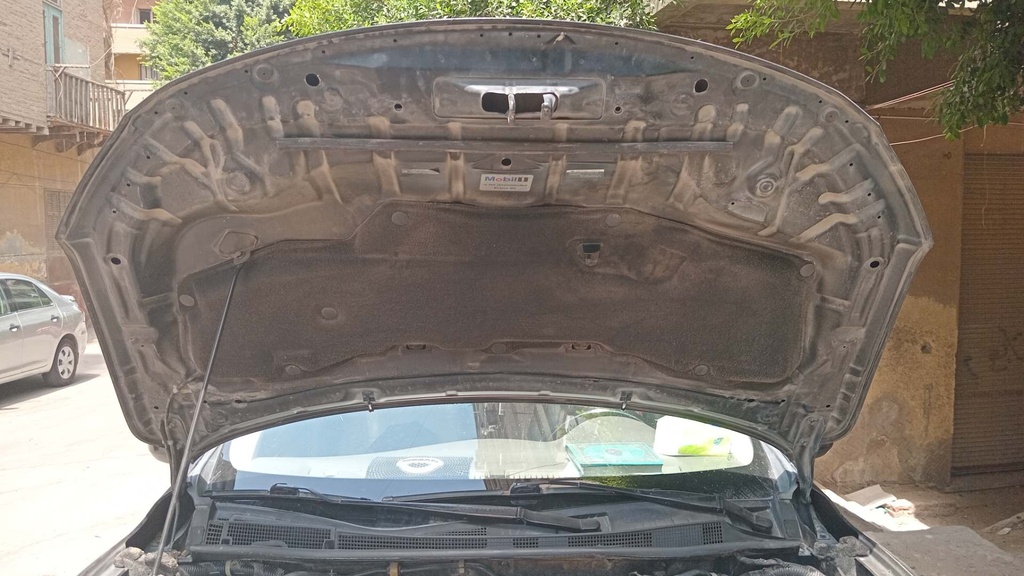 CAR HOOD