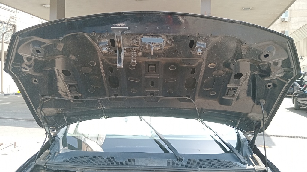 CAR HOOD
