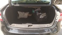 TRUNK