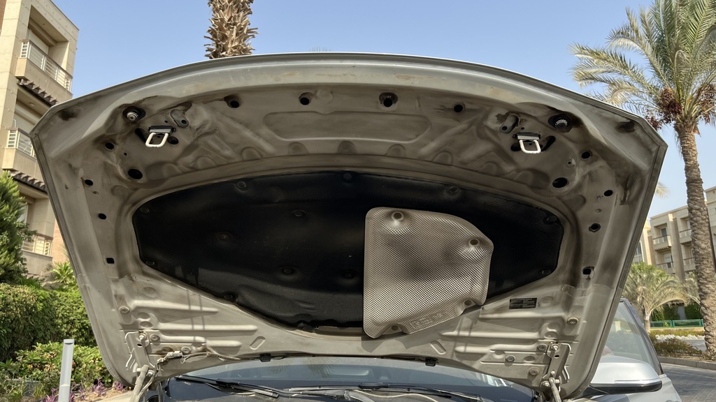 CAR HOOD