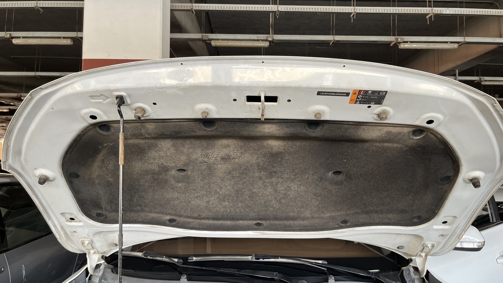 CAR HOOD