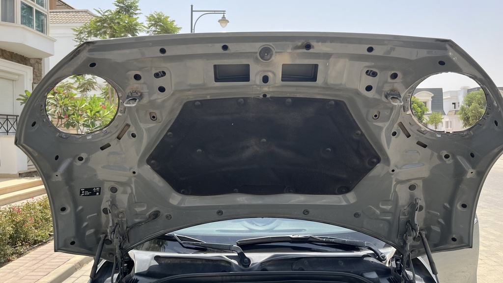 CAR HOOD