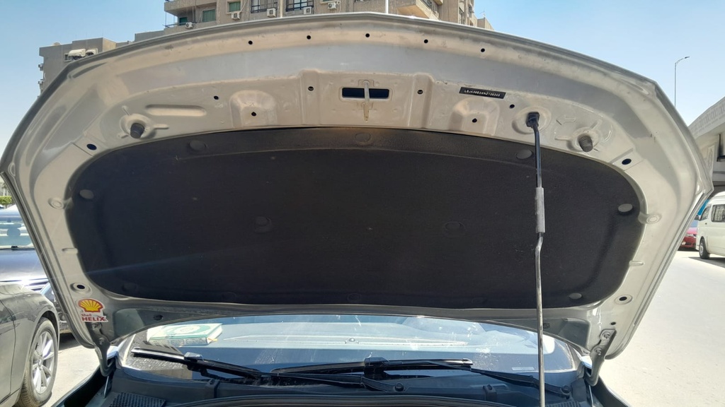 CAR HOOD