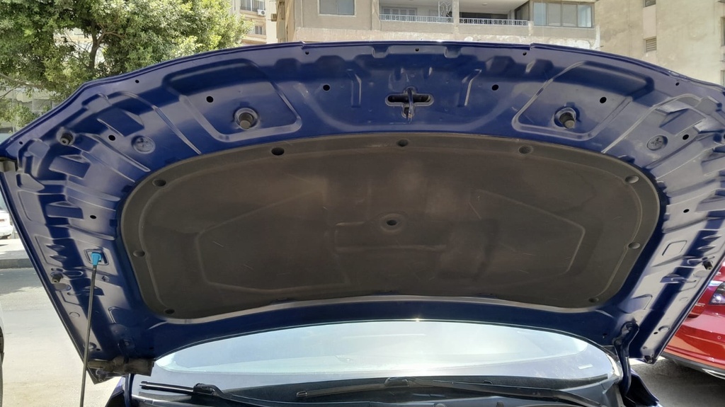 CAR HOOD